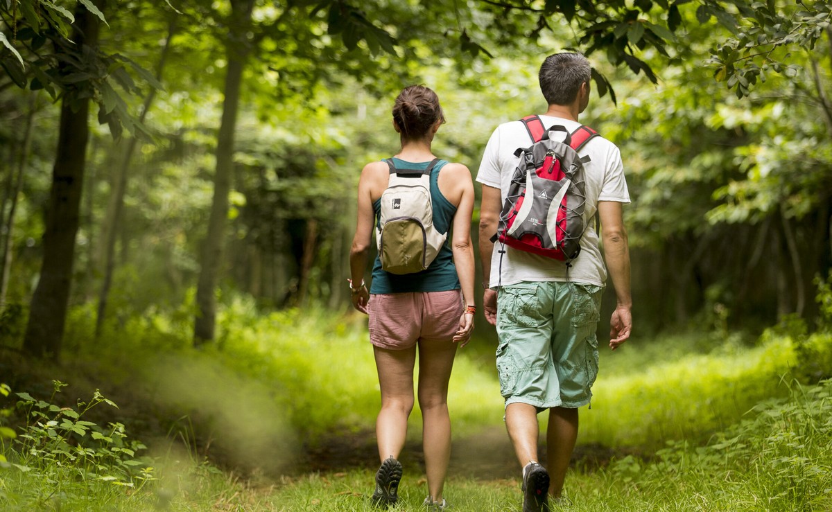 Comment organiser une excursion en forêt ?